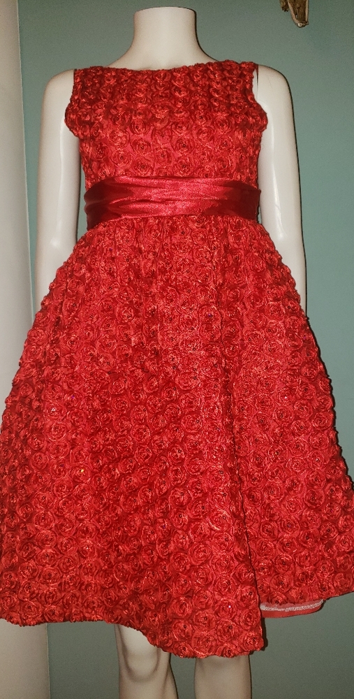Beautiful dress girl